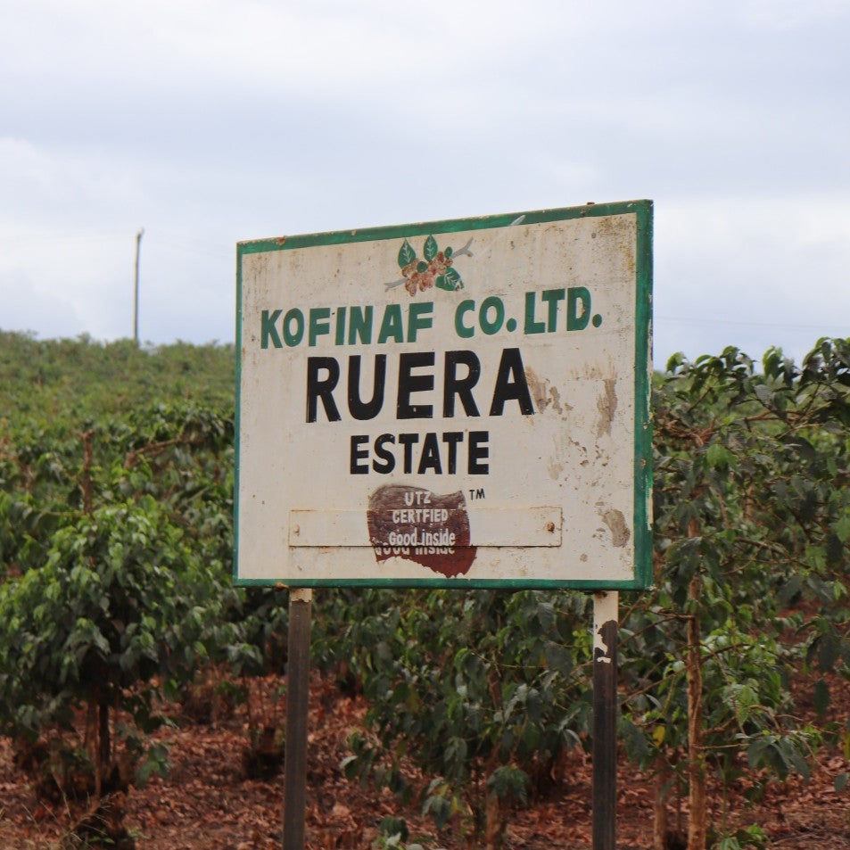 Ruera Estate Natural, Kenya | FILTER
