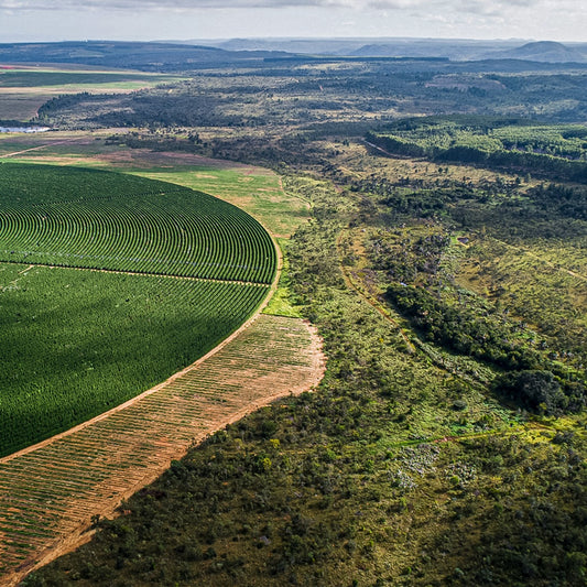 Ecoagricola Serra do Cabral, Brazil | ESPRESSO