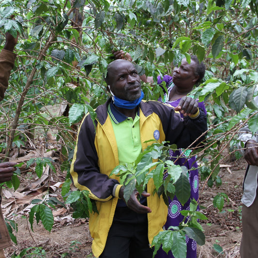 Faustin Ribarimana, Rwanda | ESPRESSO