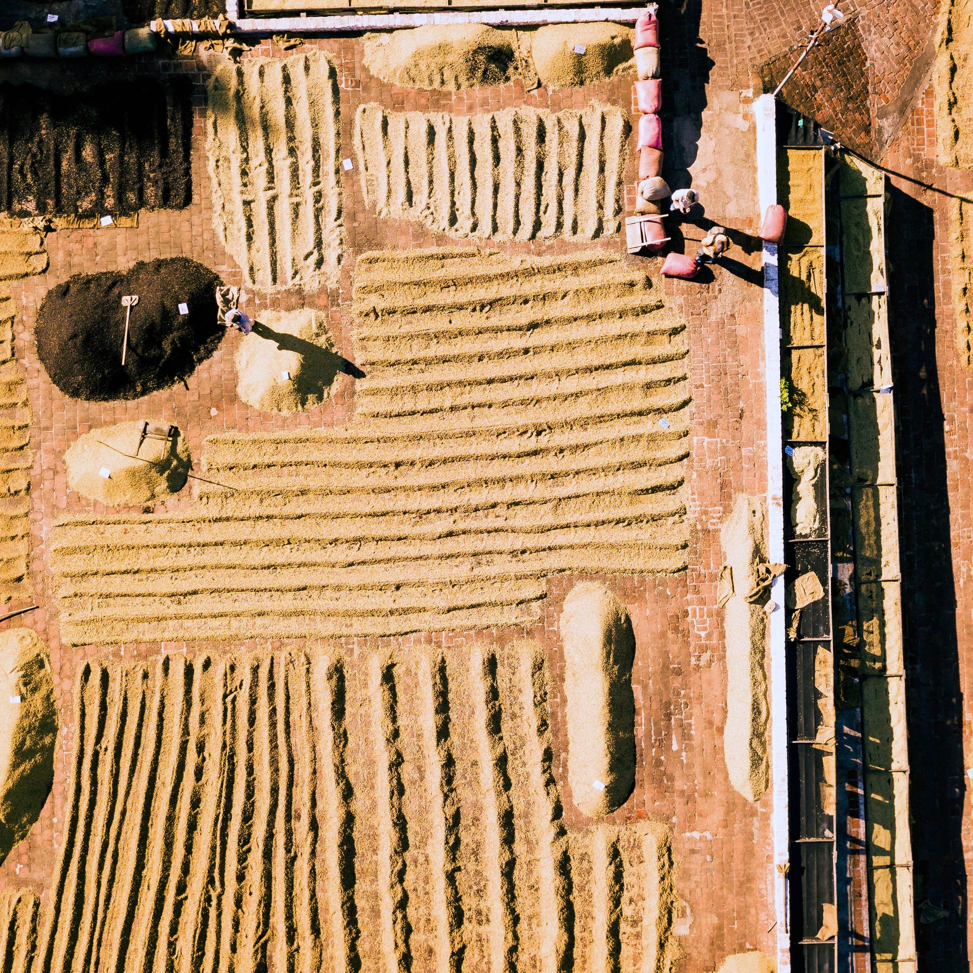 Photo of Finca El Carmen, El Salvador | ESPRESSO