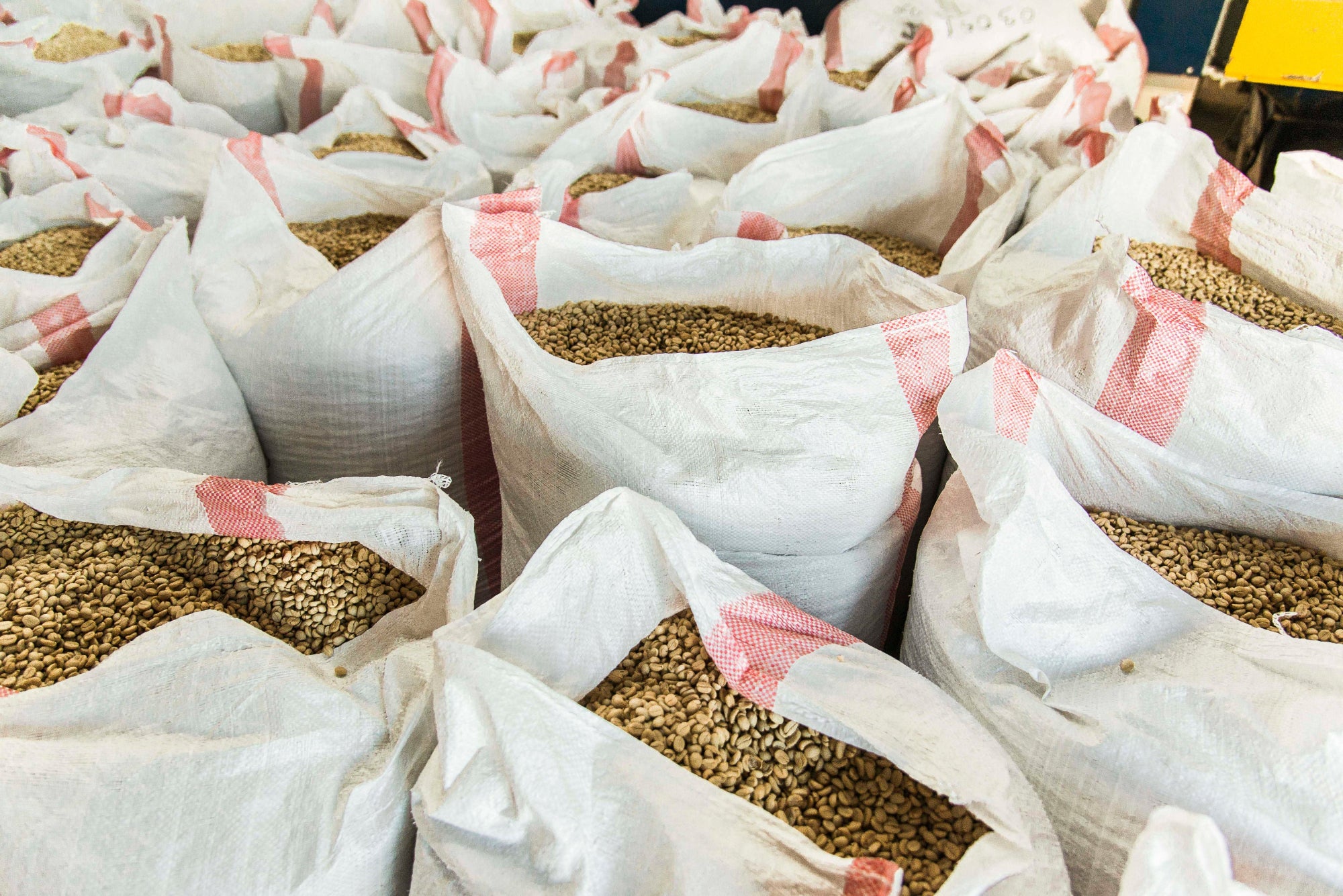 Multiple bags of seeds or grains in a storage facility.