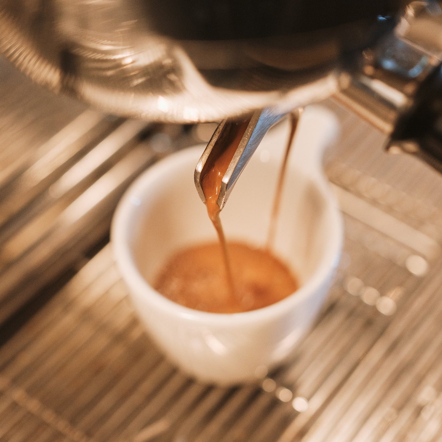 Peanut Butter & Jelly | ESPRESSO BLEND